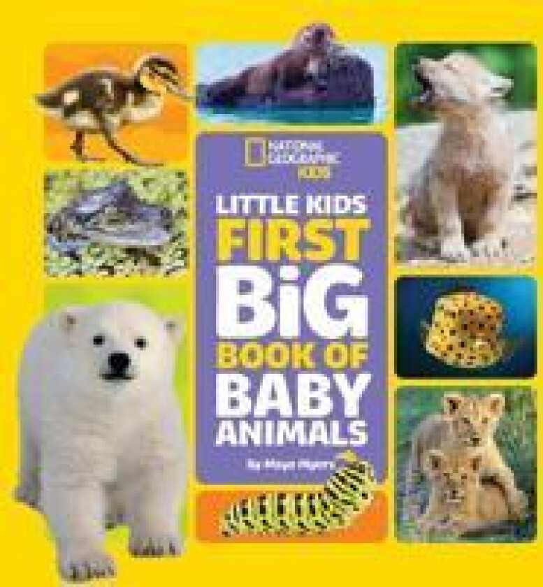 Little Kids First Big Book of Baby Animals