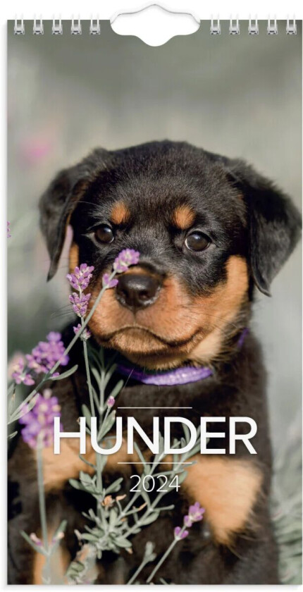 Veggkalender 2024 Hunder Mini