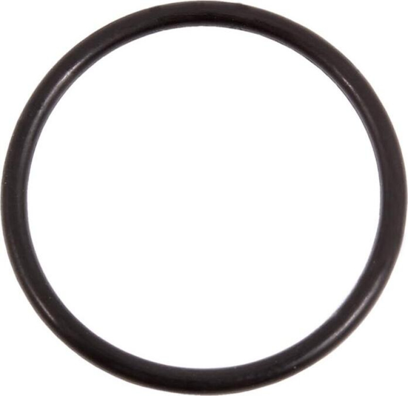 R06-0202 O-ring til slange for vifte SR 500