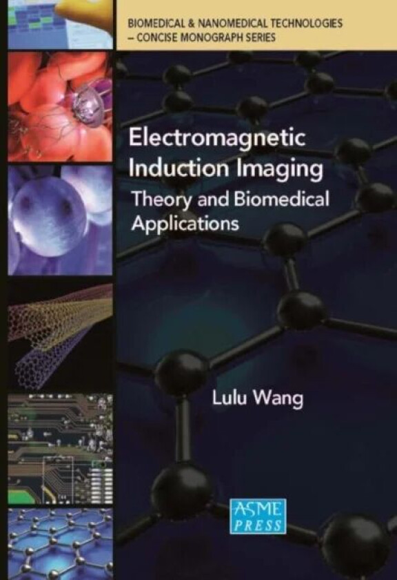 Electromagnetic Induction Imaging av Lulu Wang