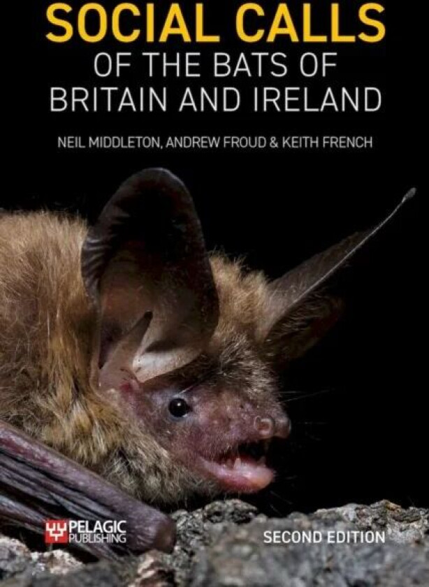 Social Calls of the Bats of Britain and Ireland av Neil Middleton, Andrew Froud, Keith French