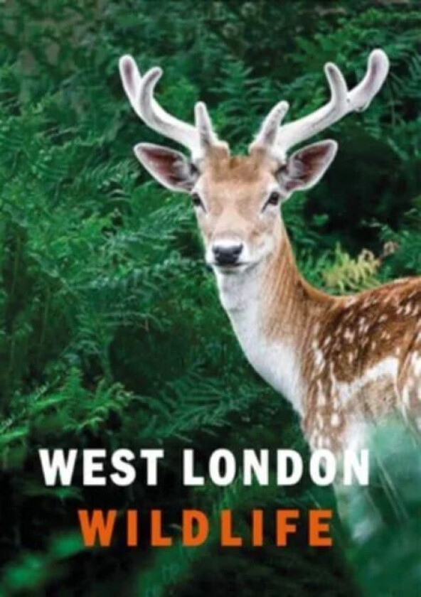 West London Wildlife av Ian Alexander, Susanne Masters