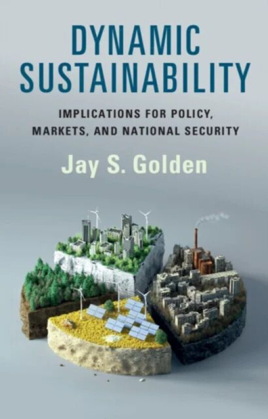 Dynamic Sustainability av Jay S. (Syracuse University New York) Golden