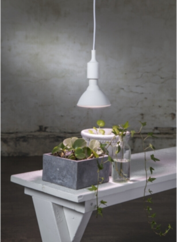 LED PAR38 Plantelampe Vekst E27 16W
