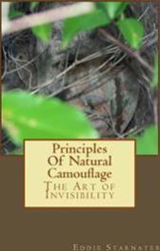 Principles Of Natural Camouflage: The Art of Invisibility
