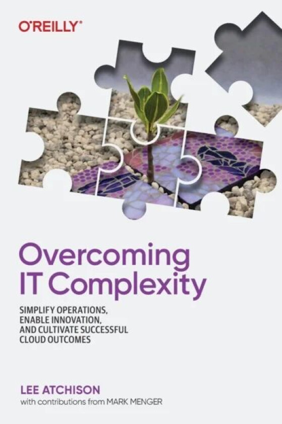 Overcoming IT Complexity av Lee Atchison
