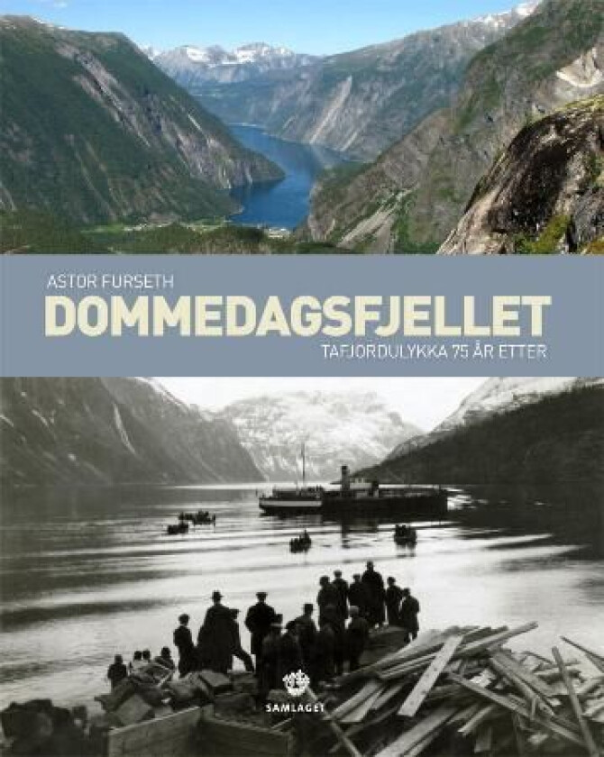 Dommedagsfjellet av Astor Furseth
