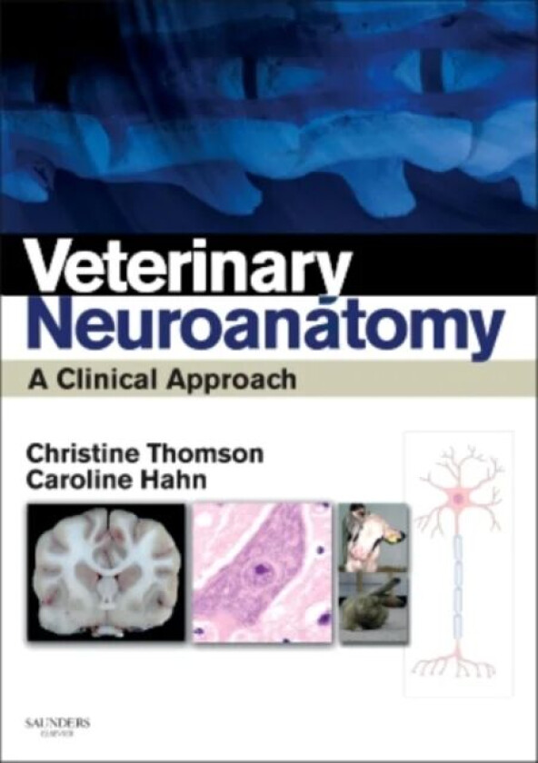 Veterinary Neuroanatomy av Christine E BVSc(Hons) PhD DipACVIM(Neurol) DipECVN ILTM MRCVS (Associate Professor Comparative Physiology and Anatomy Mass