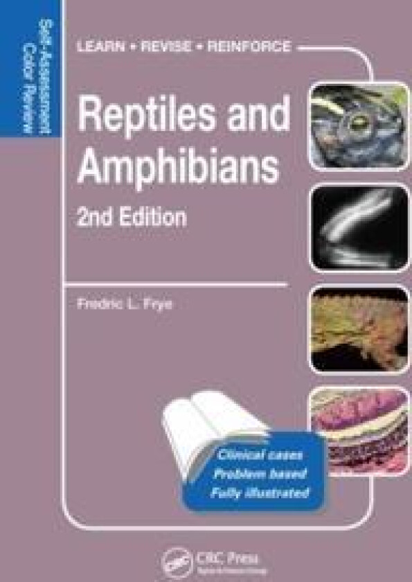 Reptiles and Amphibians