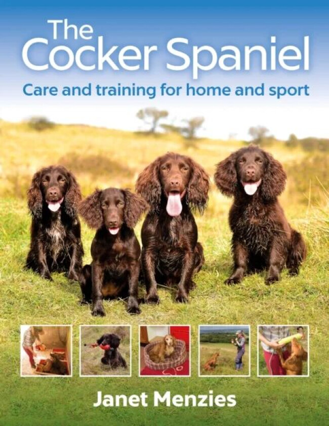 The Cocker Spaniel av Janet Menzies