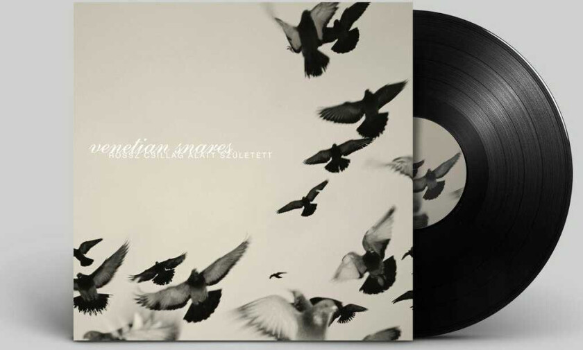 Venetian Snares Rossz Csillag Alatt Született LP/Vinyl