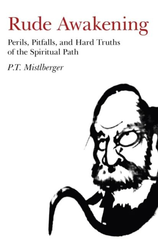 Rude Awakening ¿ Perils, Pitfalls, and Hard Truths of the Spiritual Path av P.t. Mistlberger