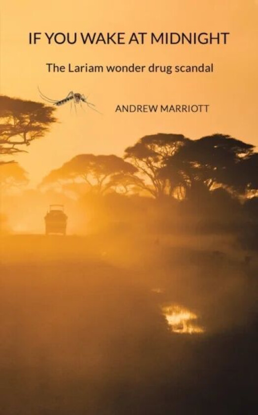 If You Wake at Midnight av Andrew Marriott