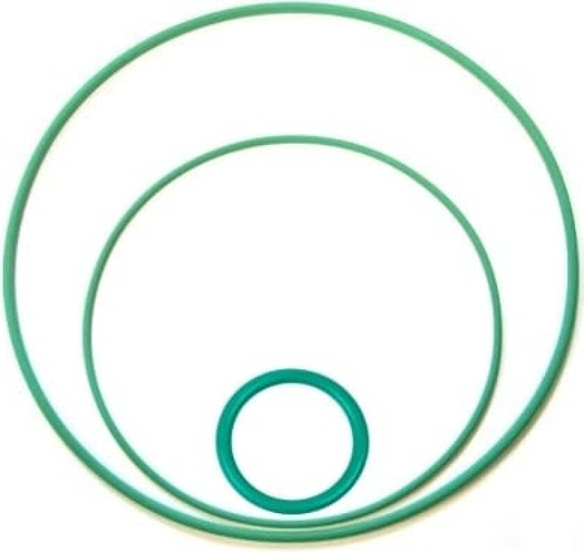 Chasing O-ring 5stk - 19.0mm x 1.8mm