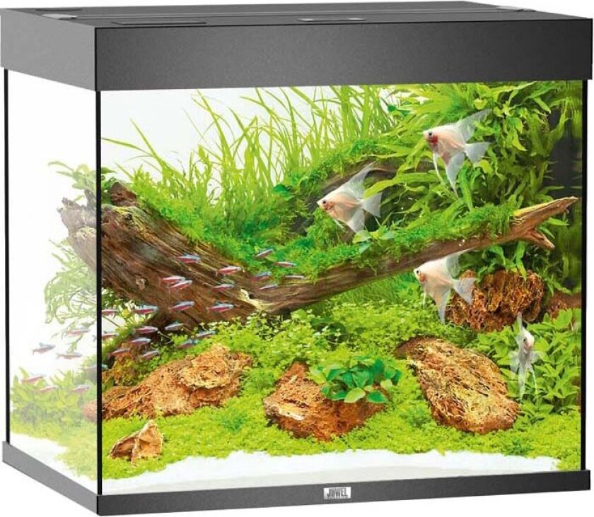 Bilde av DH Salt GH/TH Plus - 500g