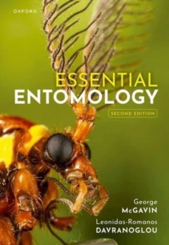 Essential Entomology av George C. (Senior Research Associate Senior Research Associate Department of Zoology Oxford University UK) McGavin, Leonidas-R