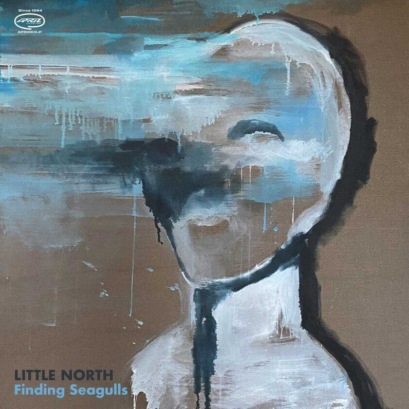 Little North Finding Seagulls CD