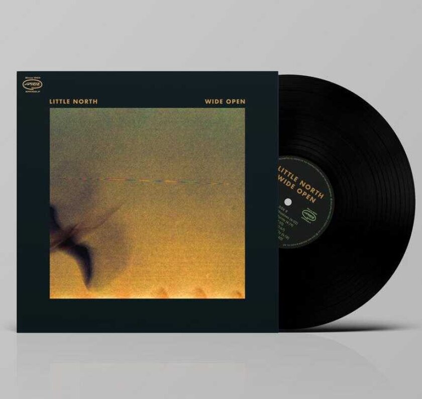 Little North Wide Open LP/Vinyl
