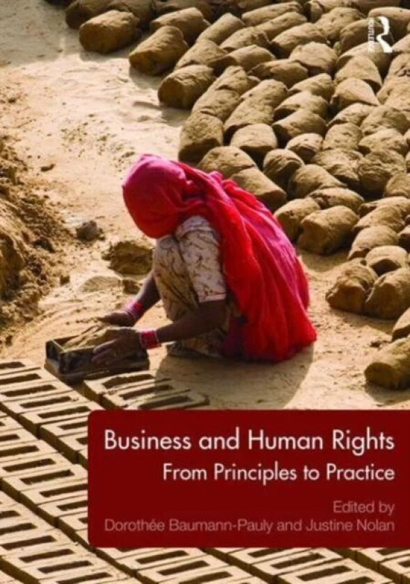 Business and Human Rights av Dorothee Baumann-Pauly, Justine Nolan