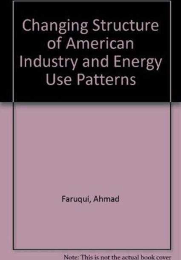 The Changing Structure Of American Industry And Energy Use Patterns Issues, Scenarios, And Forecasting Models