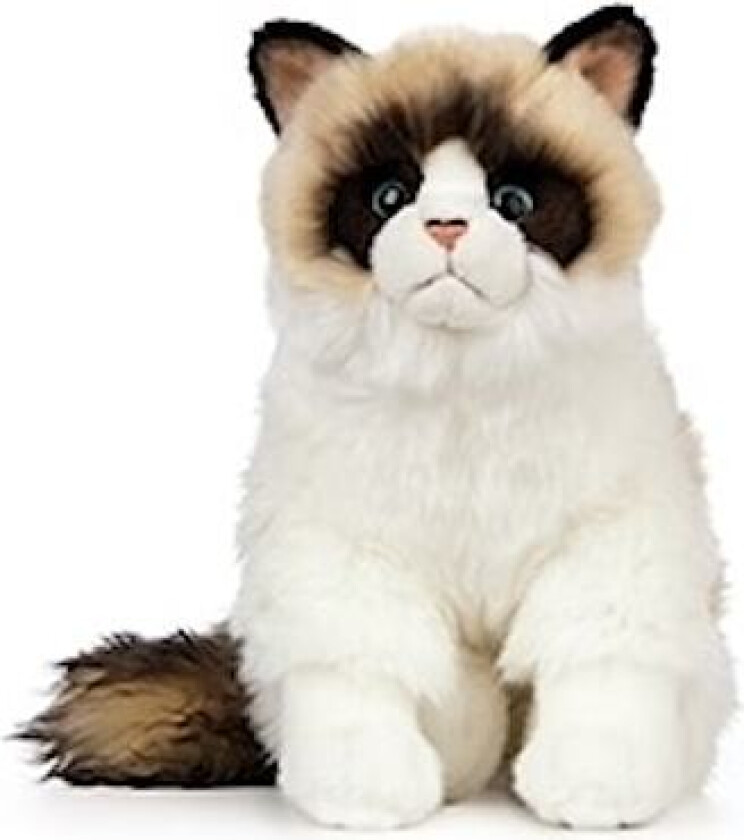 Ragdoll katt 25 cm Living Nature