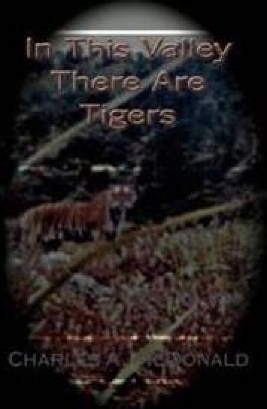 In This Valley There Are Tigers