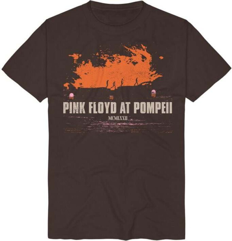 T-skjorte - Pompeii Album Cover Widescreen - S til 3XL - Herrer - brun