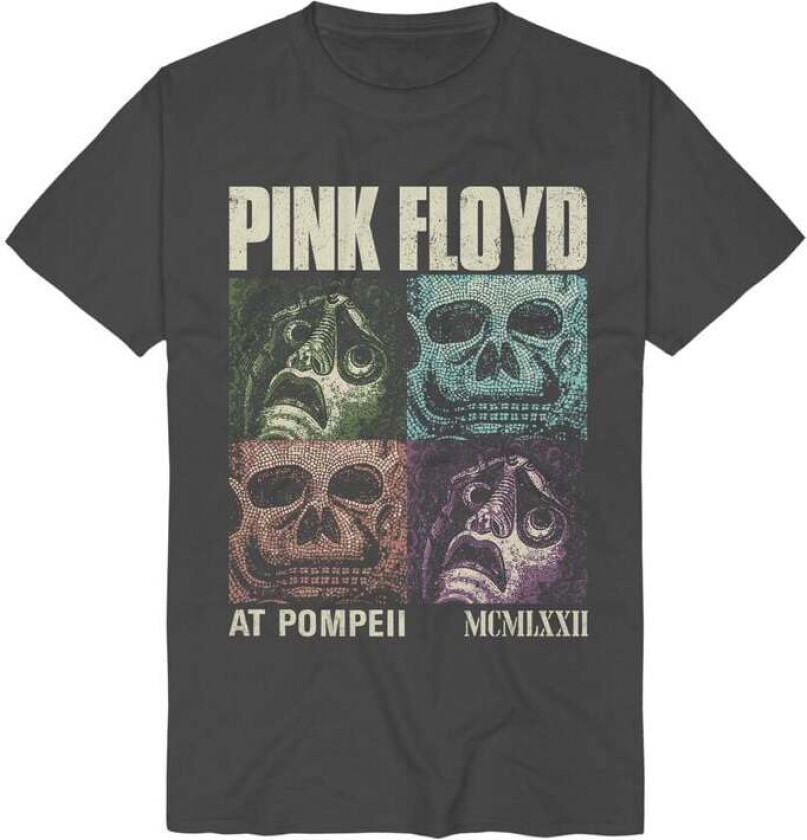 T-skjorte - Pompeii Memento Mori - S til 3XL - Herrer - koksgrå