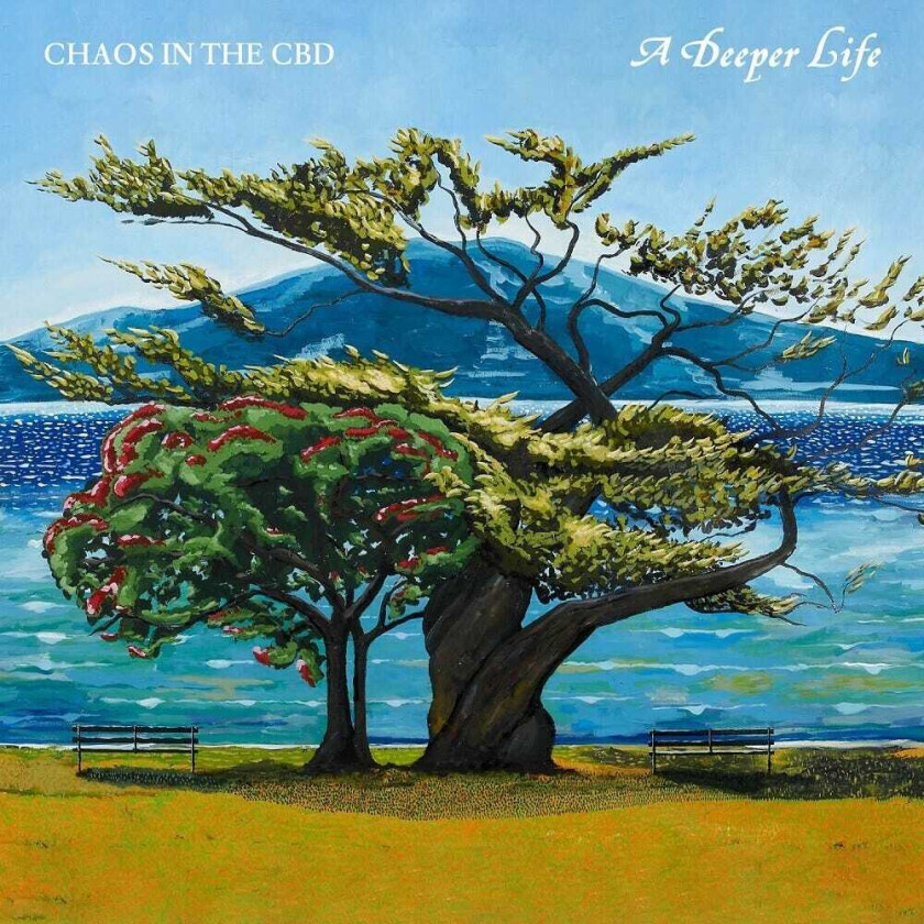 Chaos In The CBD Deeper Life LP/Vinyl