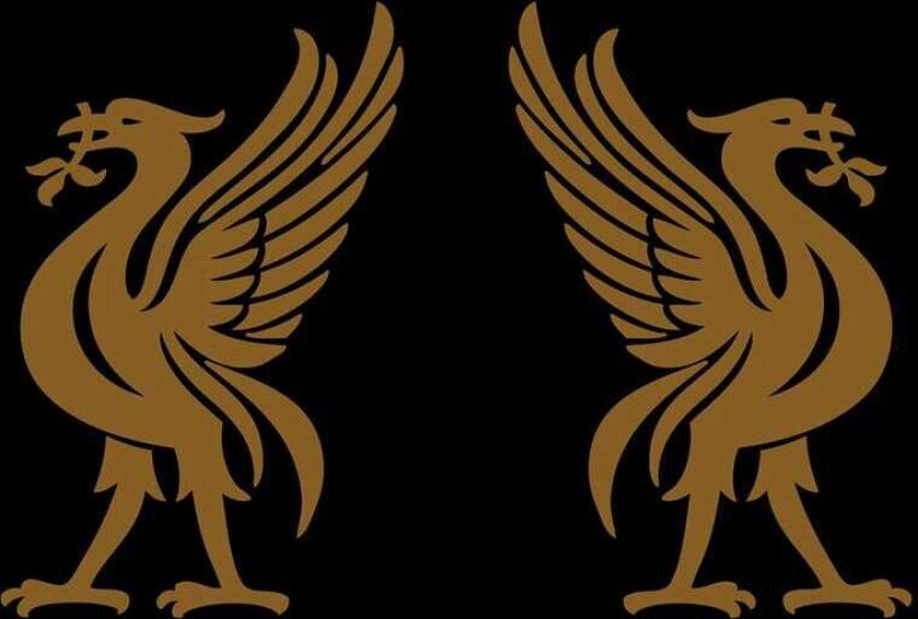 Joey Cape Liverbirds CD