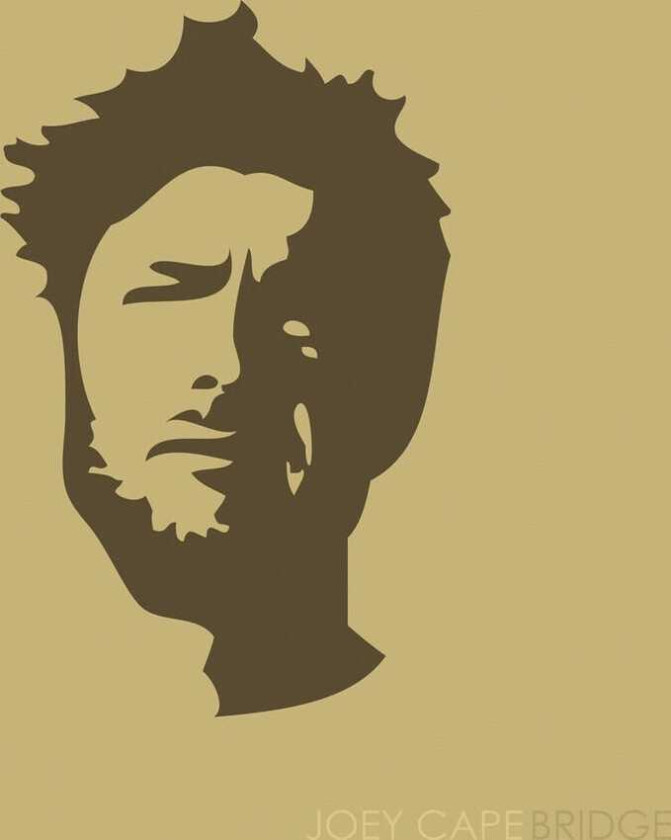 Joey Cape Bridge LP/Vinyl