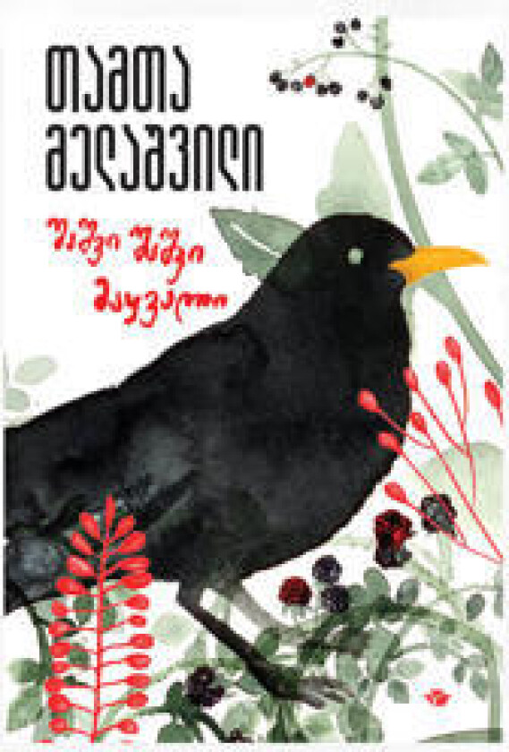 shashvi shashvi maq'vali