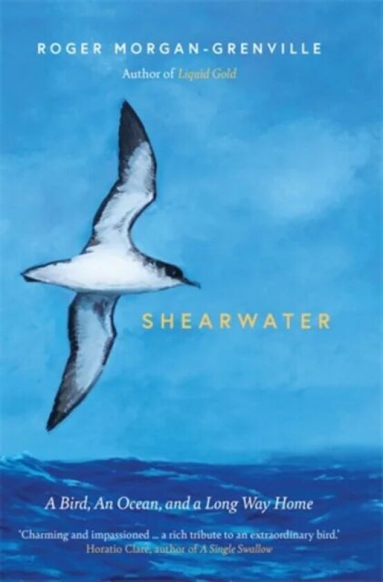 Shearwater av Roger Morgan-Grenville