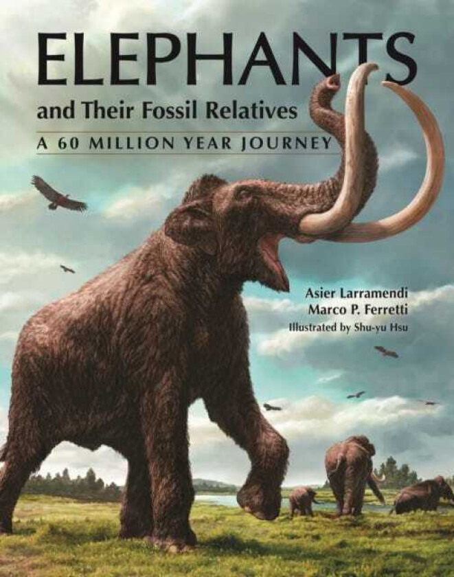 Elephants and Their Fossil Relatives A 60 Million Year Journey