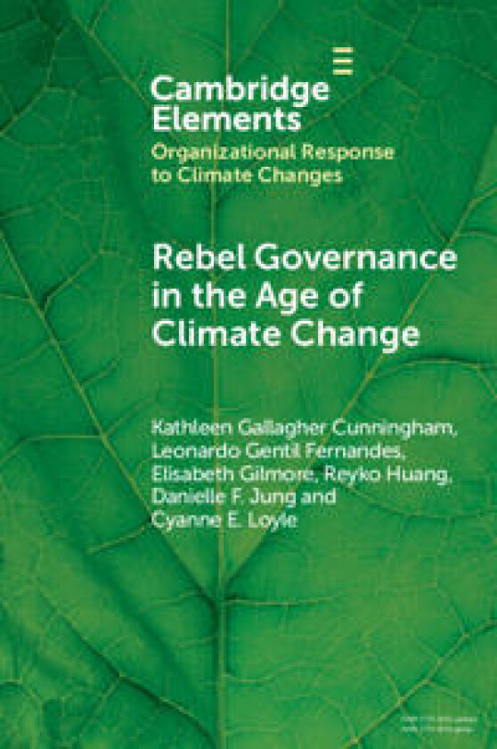 Rebel Governance in the Age of Climate Change