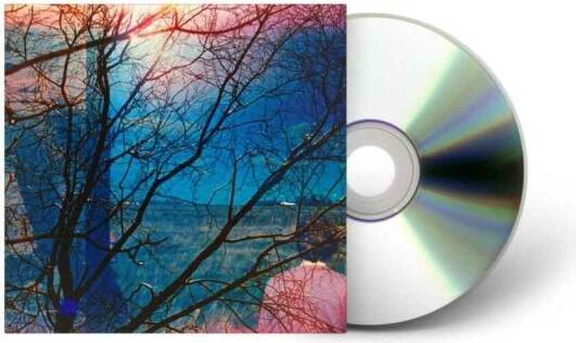 CD - Unisex - standard