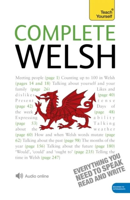 Complete Welsh Beginner to Intermediate Book and Audio Course av Julie Brake, Christine Jones