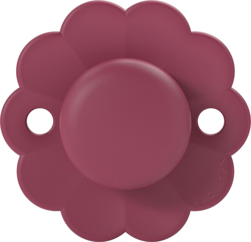 Pacifier SX Pro Sut - Bourdeaux