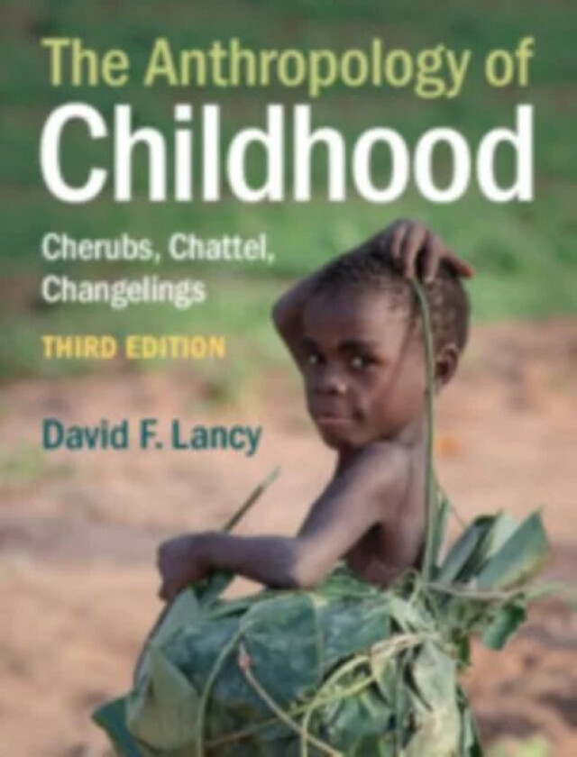 The Anthropology of Childhood av David F. (Utah State University) Lancy