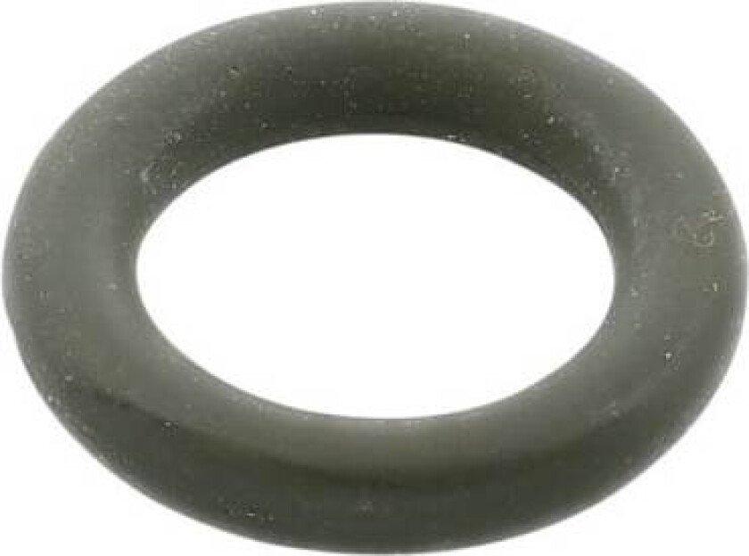 o-ring 4055424826