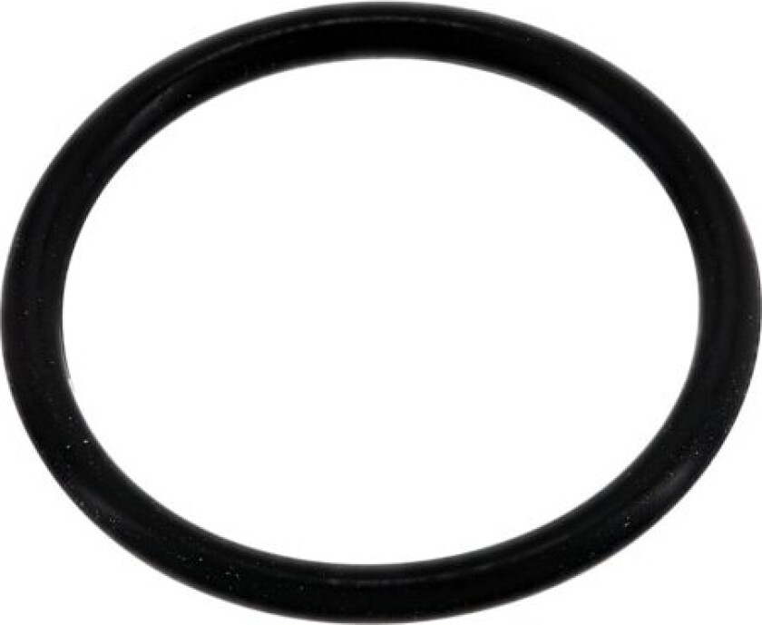 o-ring 4055374211