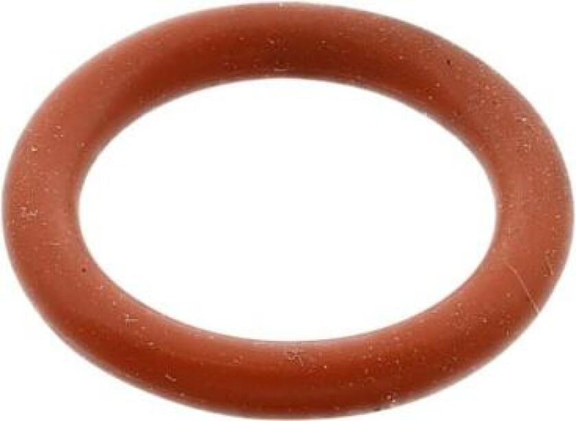 o-ring 4055067575