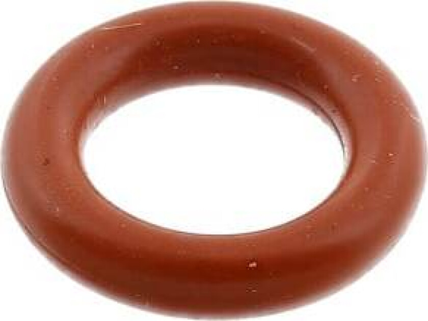 o-ring, D=6mm 4055035598