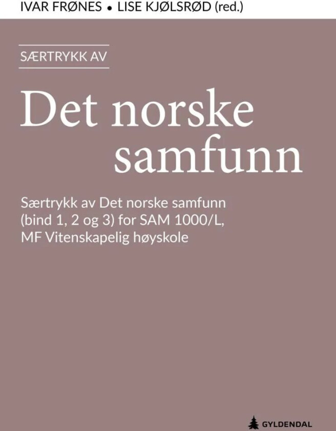 Det norske samfunn