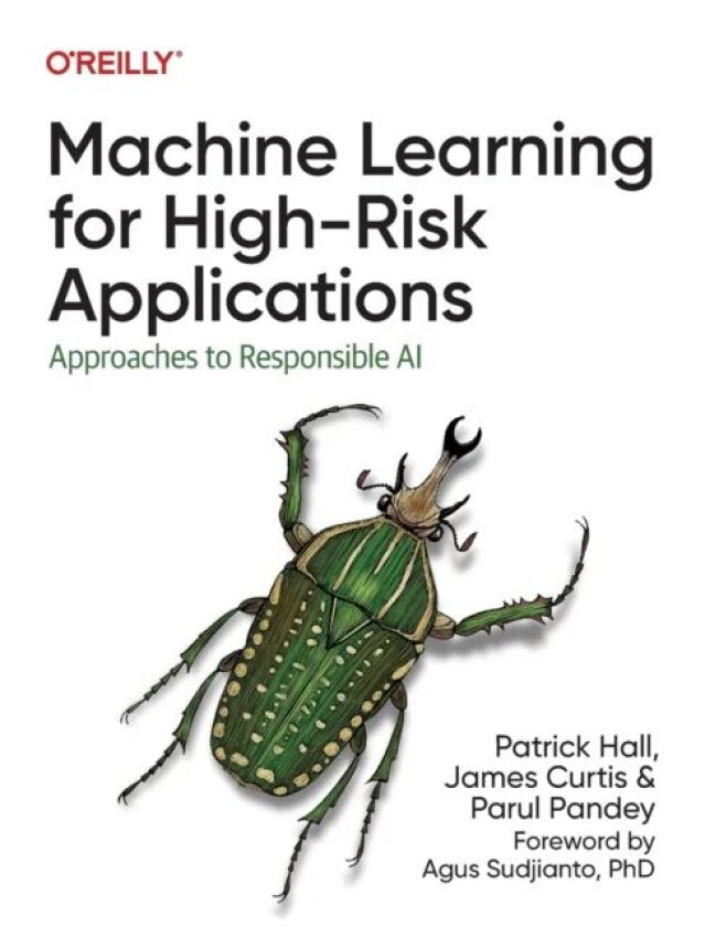 Machine Learning for High-Risk Applications av Patrick Hall, James Curtis, Parul Pandey