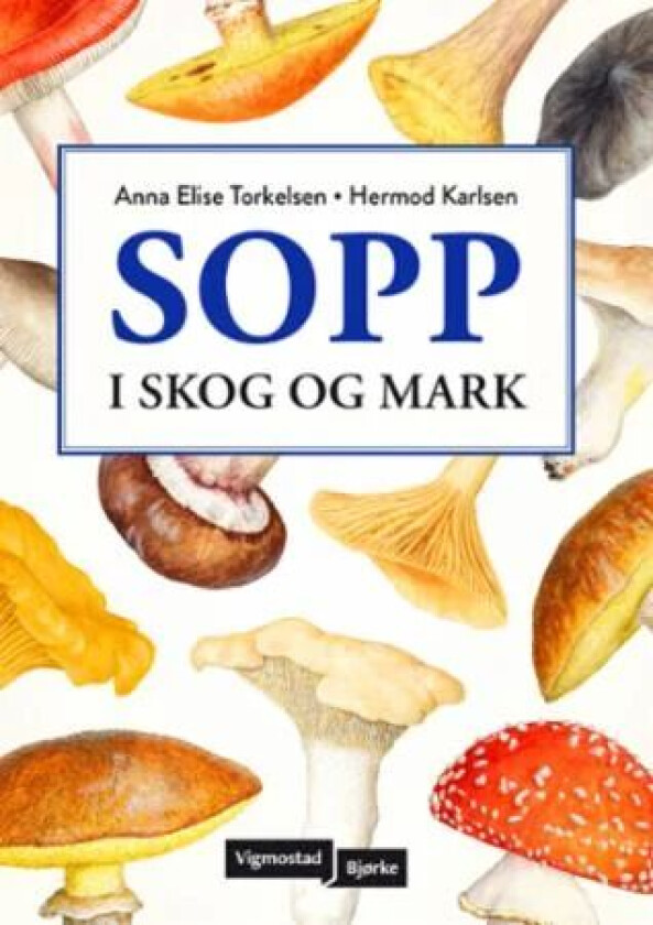 Sopp av Anna-Elise Torkelsen