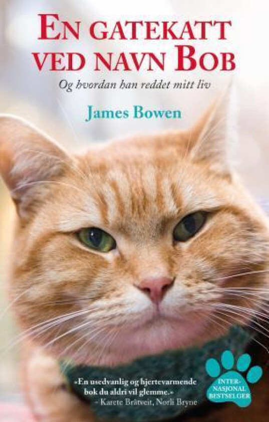 En gatekatt ved navn Bob av James Bowen