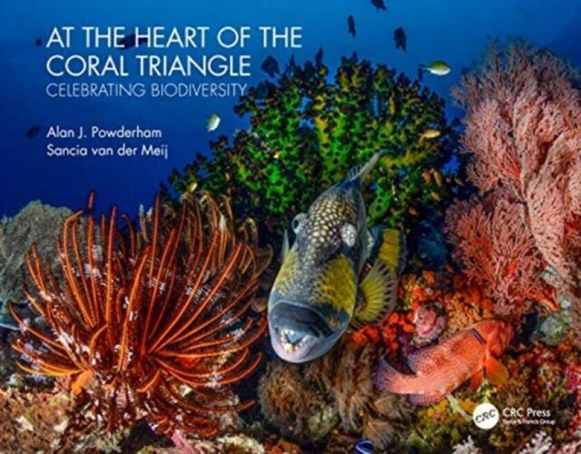 At the Heart of the Coral Triangle av Alan J (Consulting Engineer UK) Powderham, Sancia van der Meij