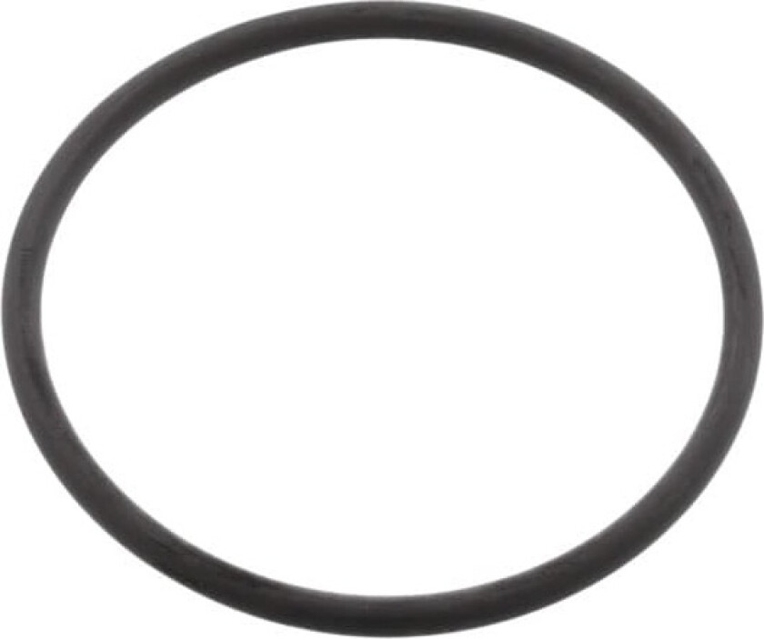 o-ring,varmer,sirkulasjonspumpe,58x3,6mm 140039688019