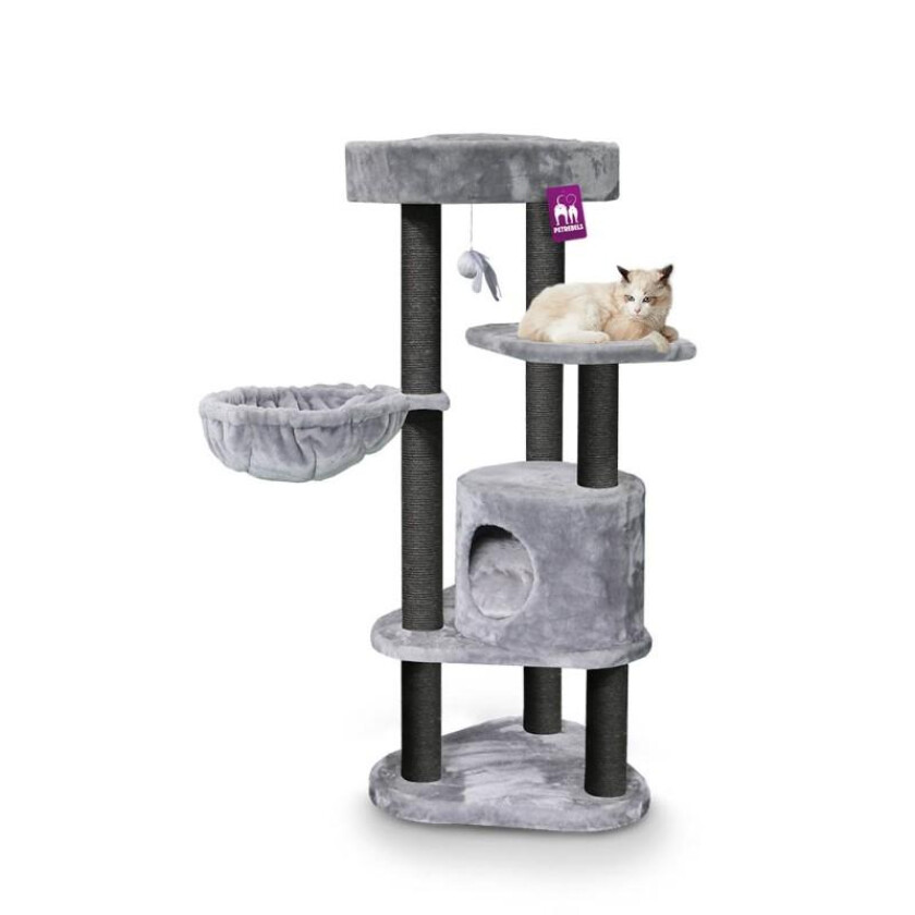 Charlotte Klorestativ til Katt Royal Cappuccino